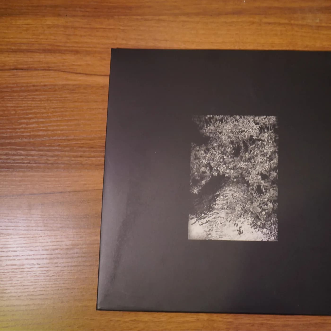 The Trees and The Wild — Zaman Zaman — sampul depan